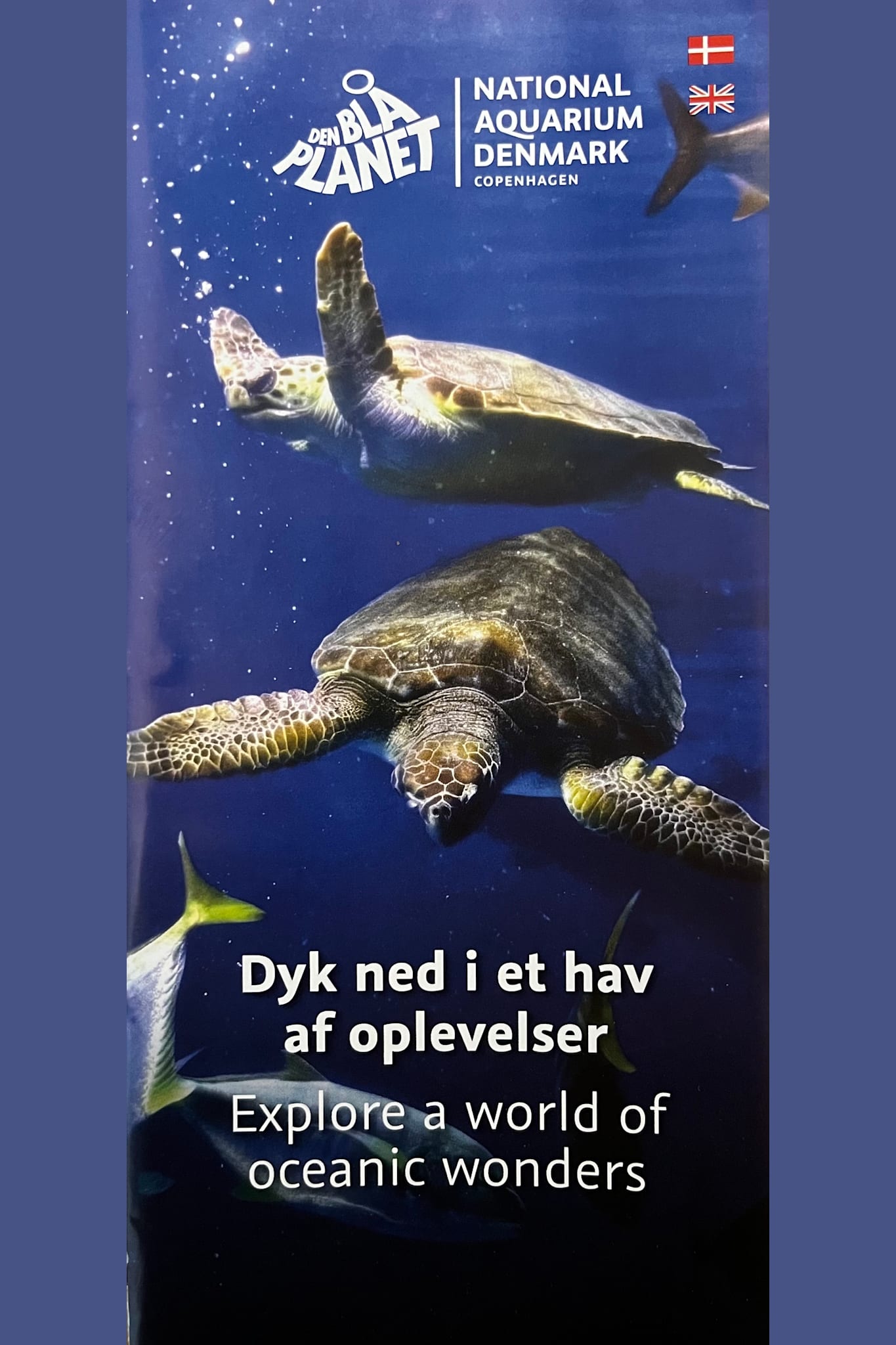 Den Blå Planet - Danmarks Akvarium (DK, UK)