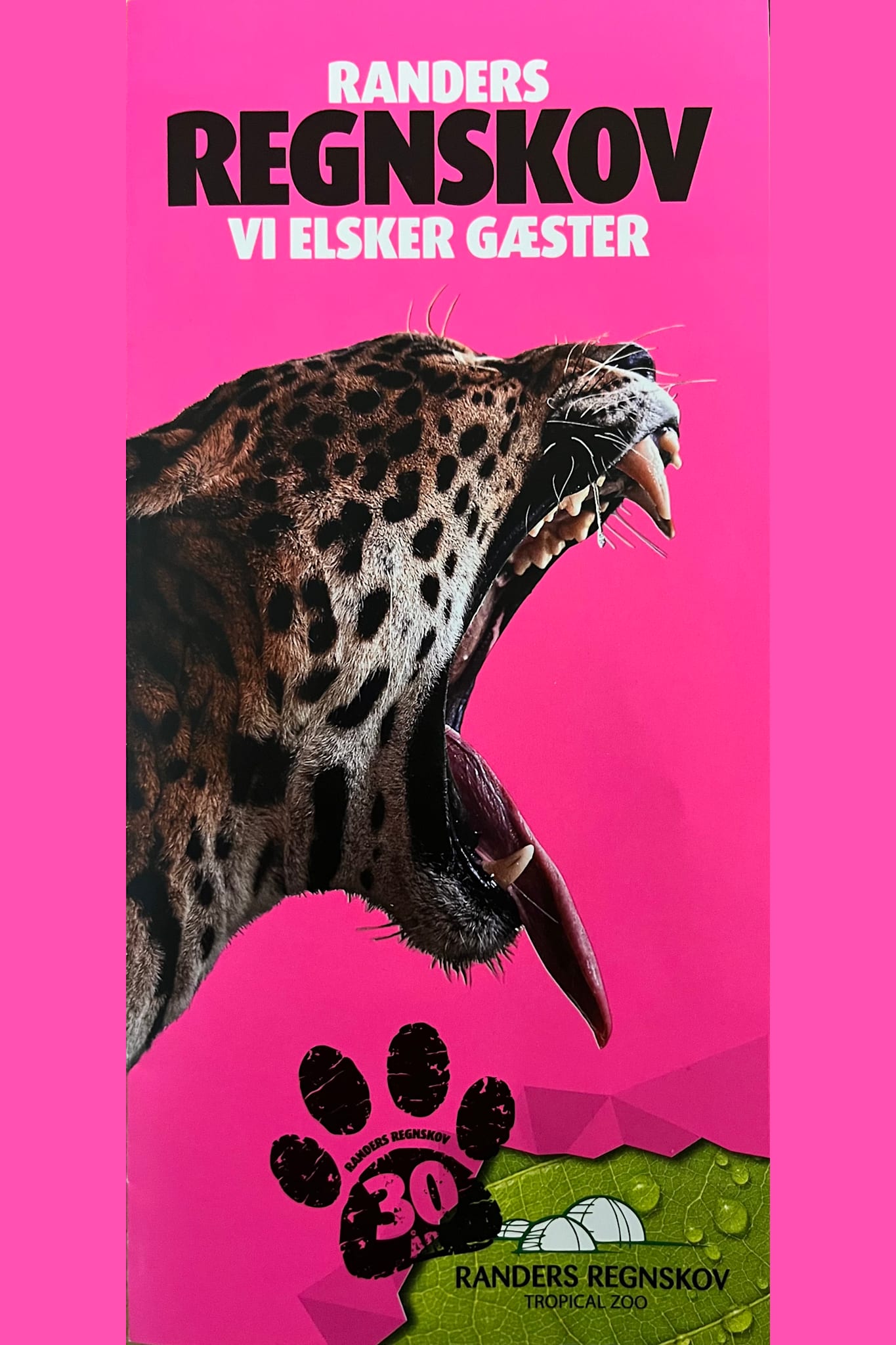 Randers Regnskov (DK, UK, DE)