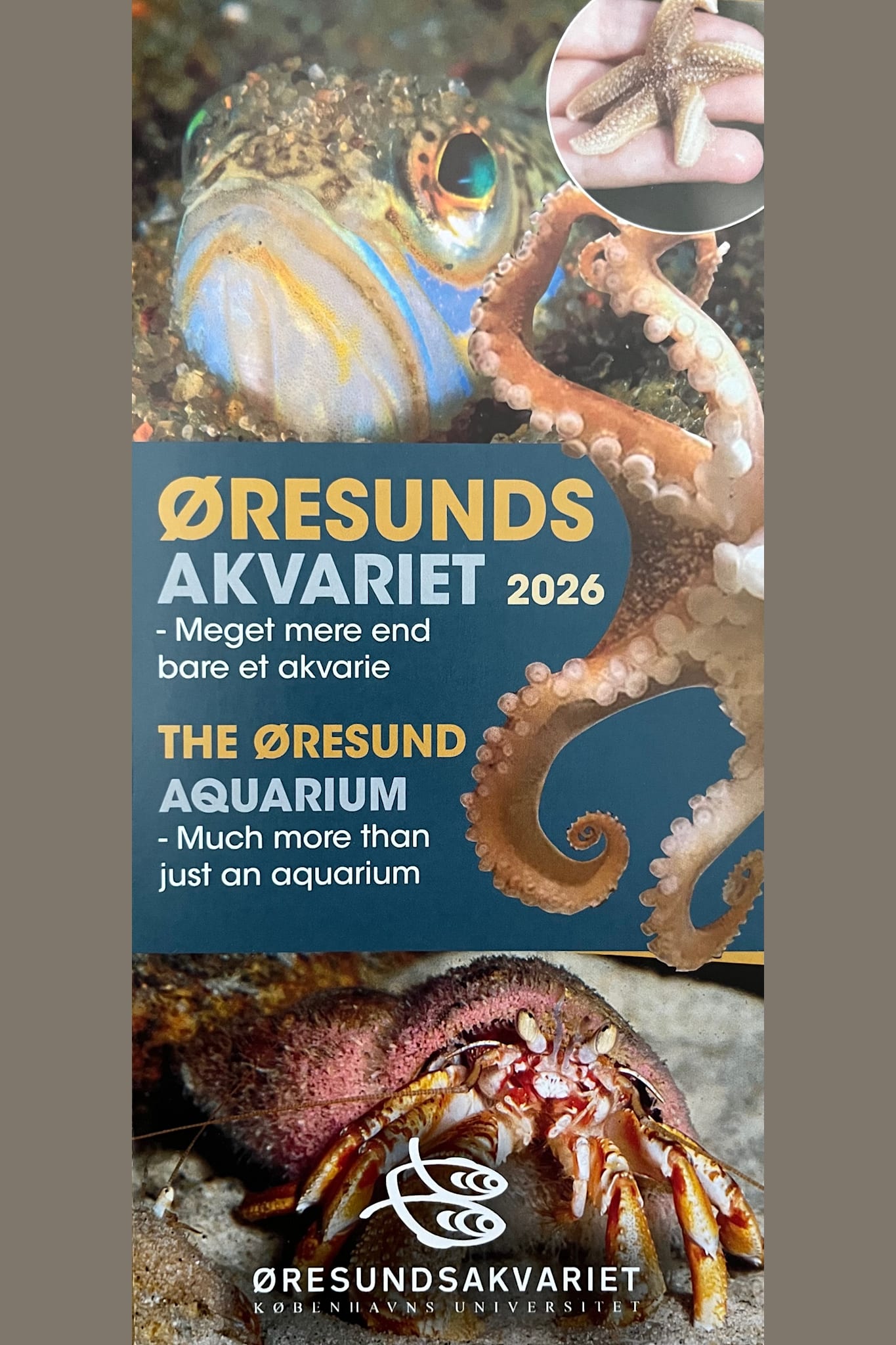 Øresundsakvariet (DK, UK)